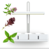 SMART GARDEN Simply Classic "Trio Bosiljak" set